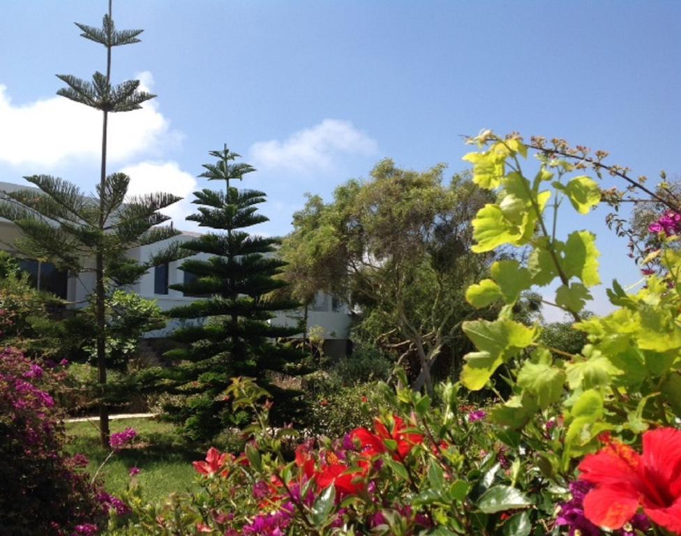 Dar Duccali Hotell Oualidia Exteriör bild